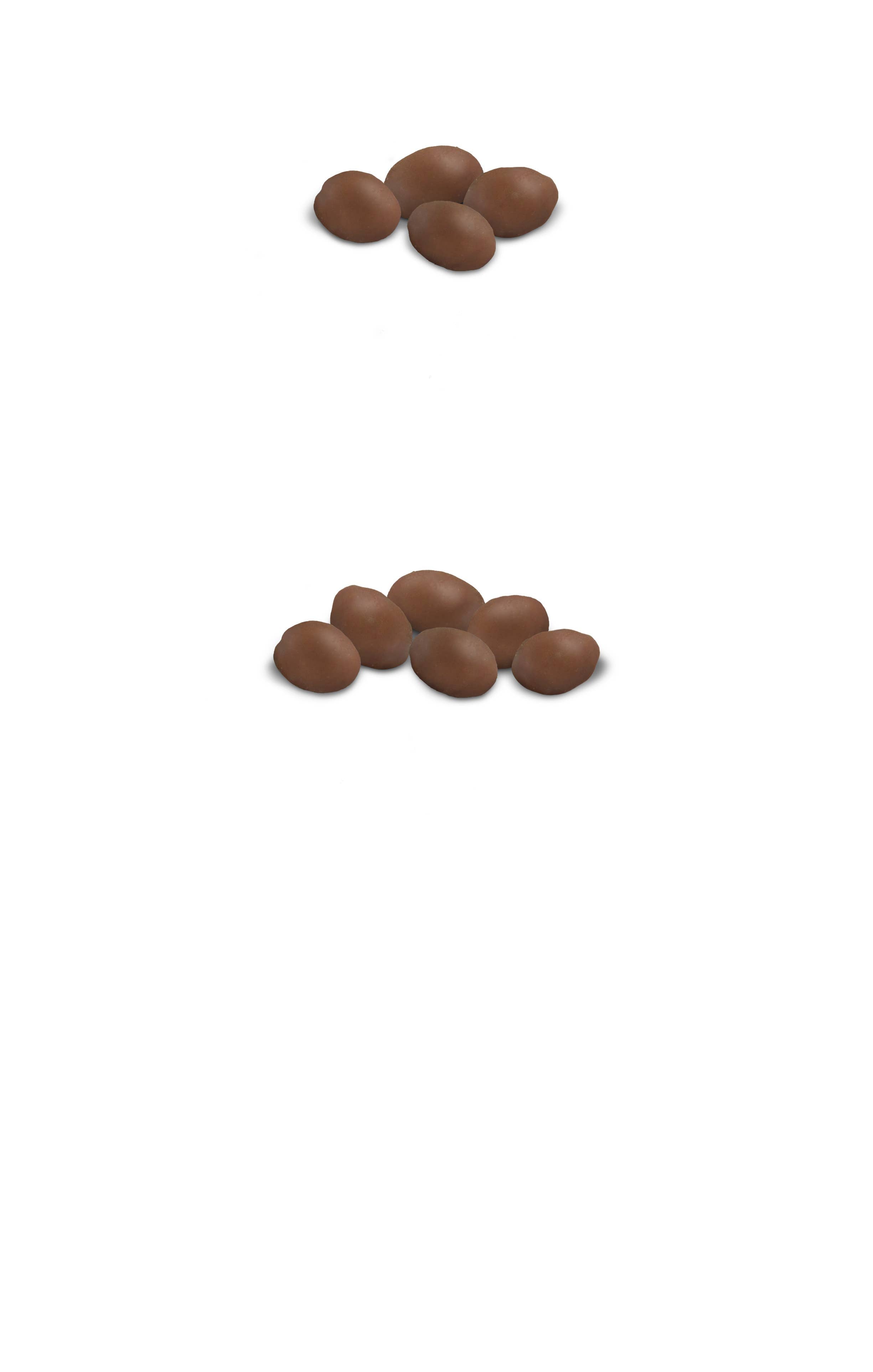 10 oz Milk Chocolate Peanuts