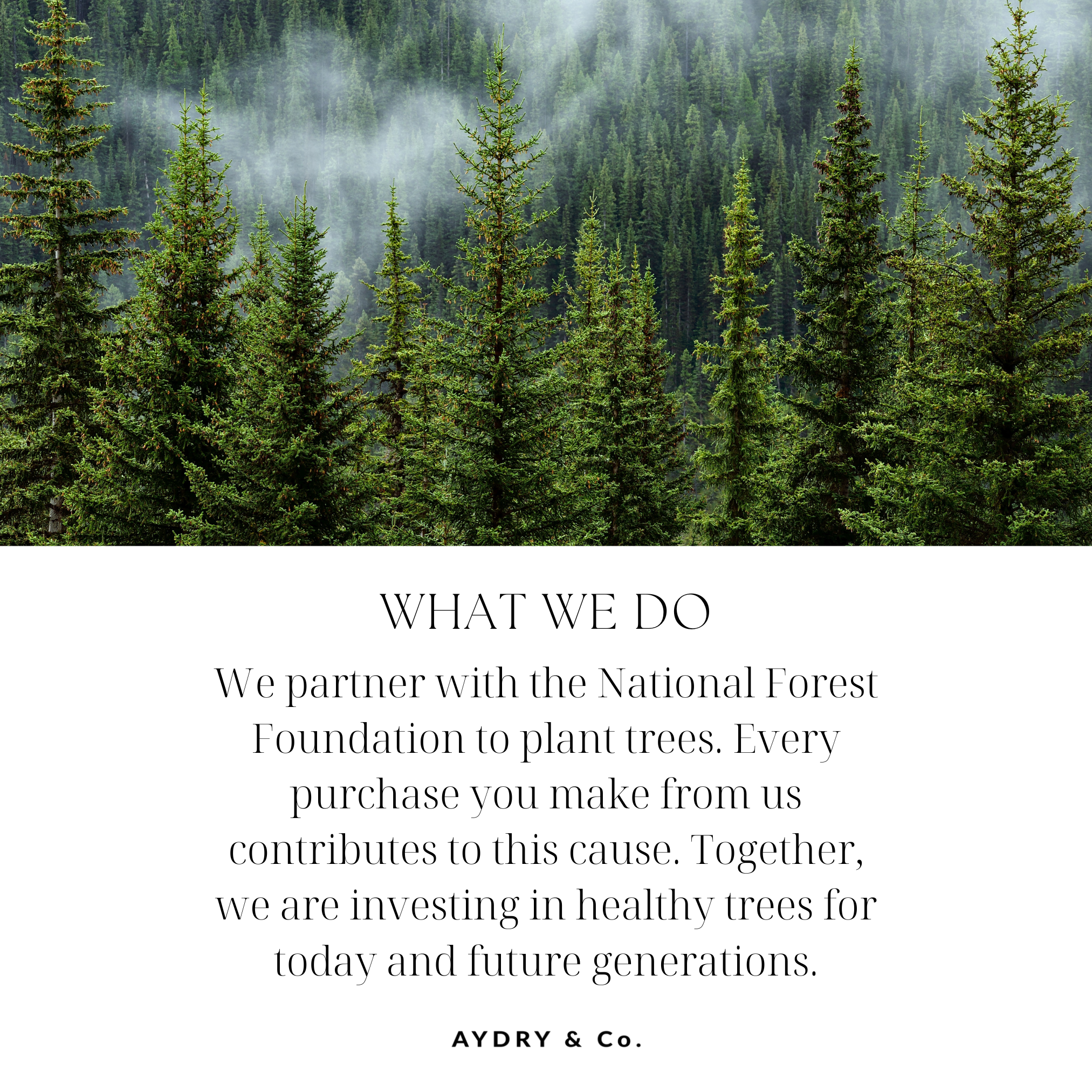 Aydry Vintage Rose Mini Tin Candle