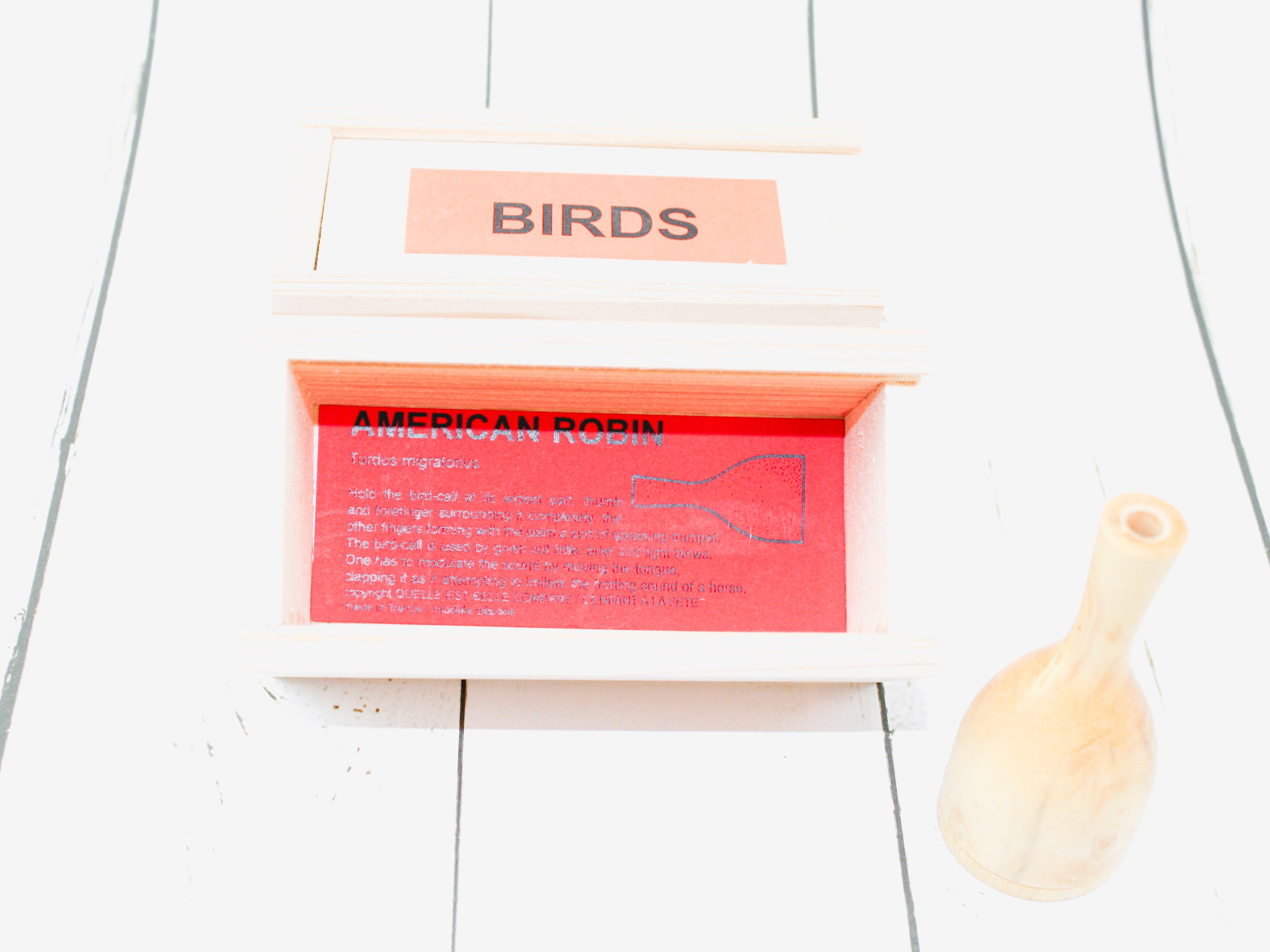 M Morel Bird Calls