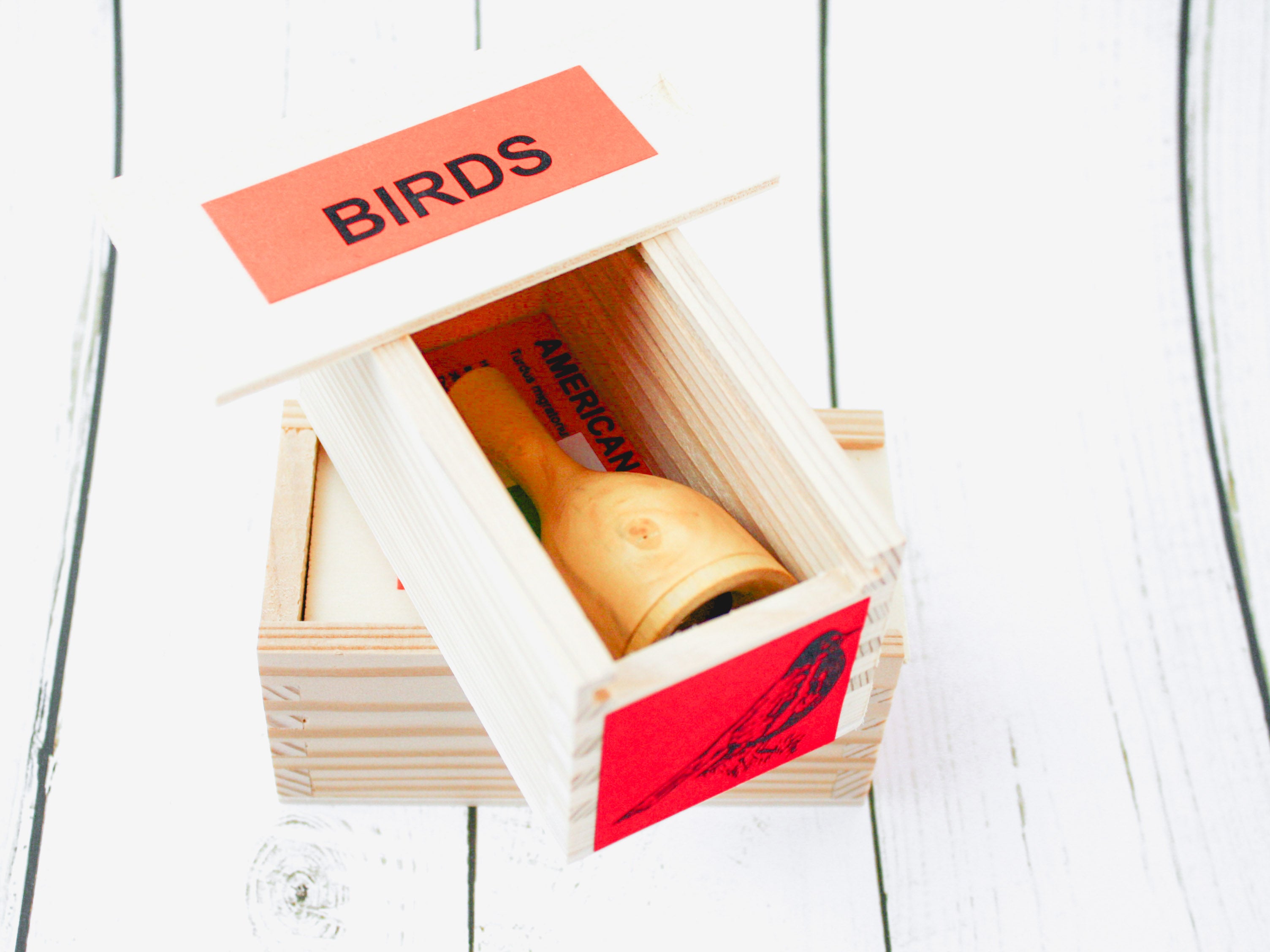 M Morel Bird Calls