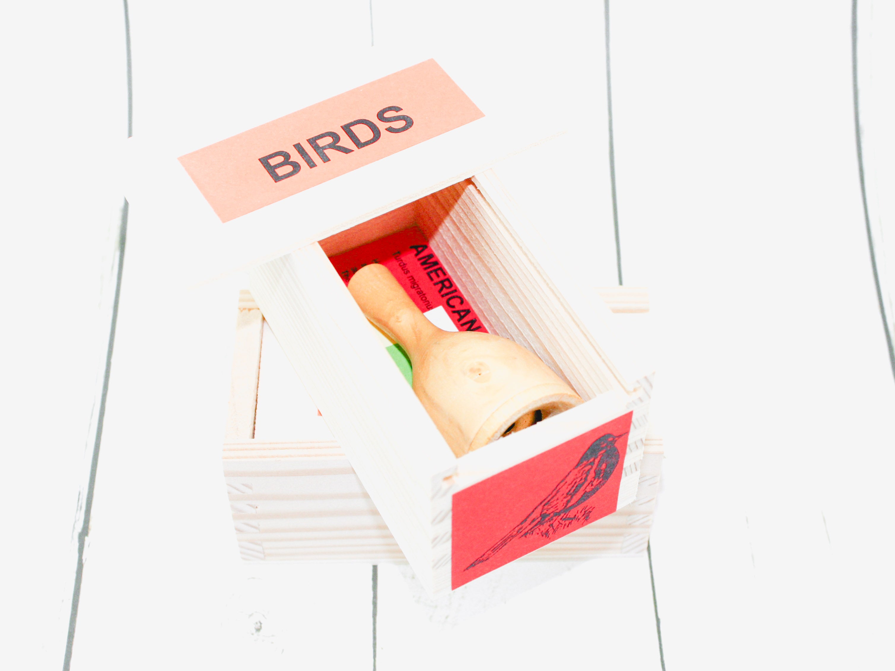 M Morel Bird Calls