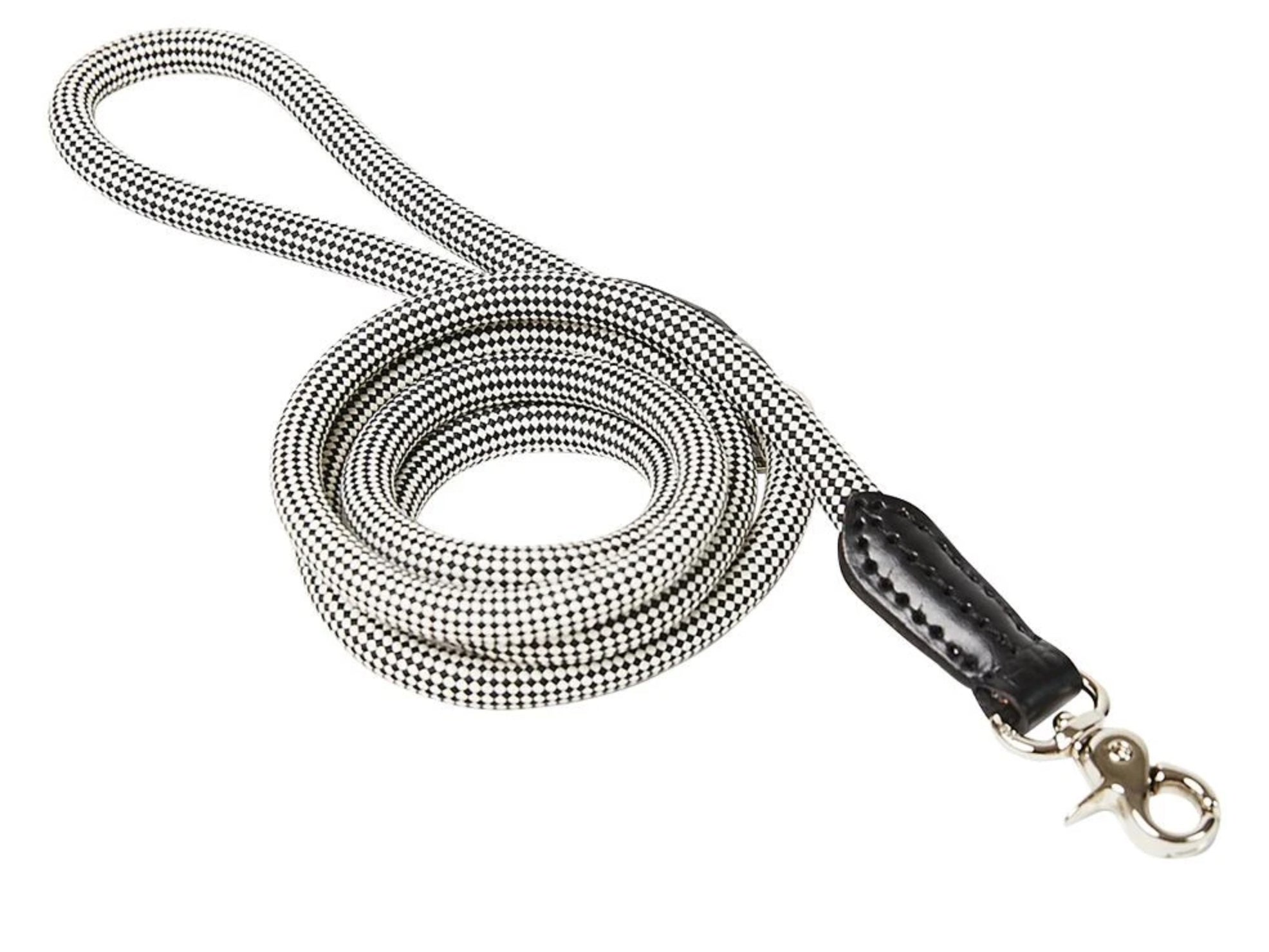 Rope Dog Leash - Walkin' the Dog