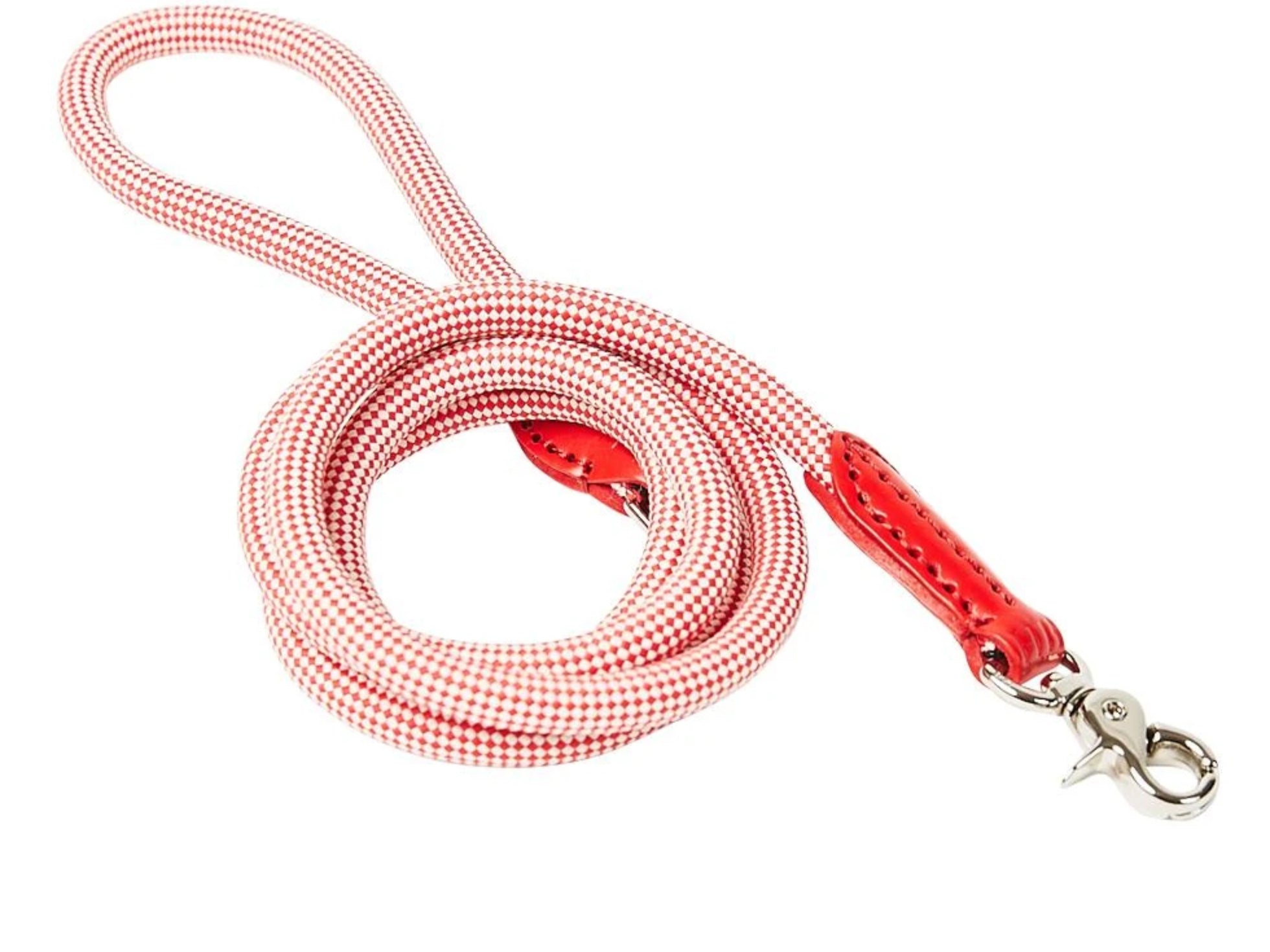 Rope Dog Leash - Walkin' the Dog